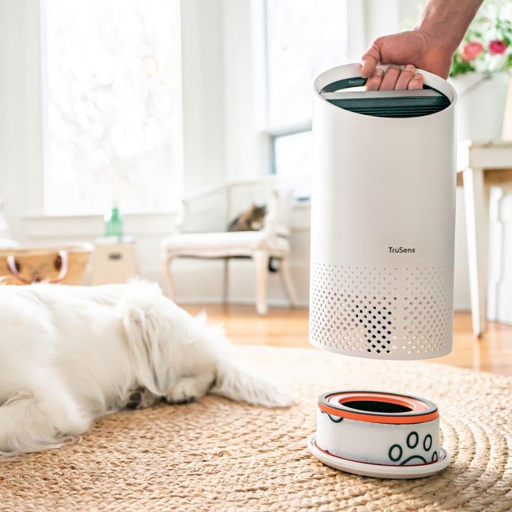Filtro HEPA para alérgicos a gatos y perros para purificador Leitz TruSens Z-1000 - alergia-acaros.com | Soluciones naturales para la Alergia a los Ácaros del Polvo
