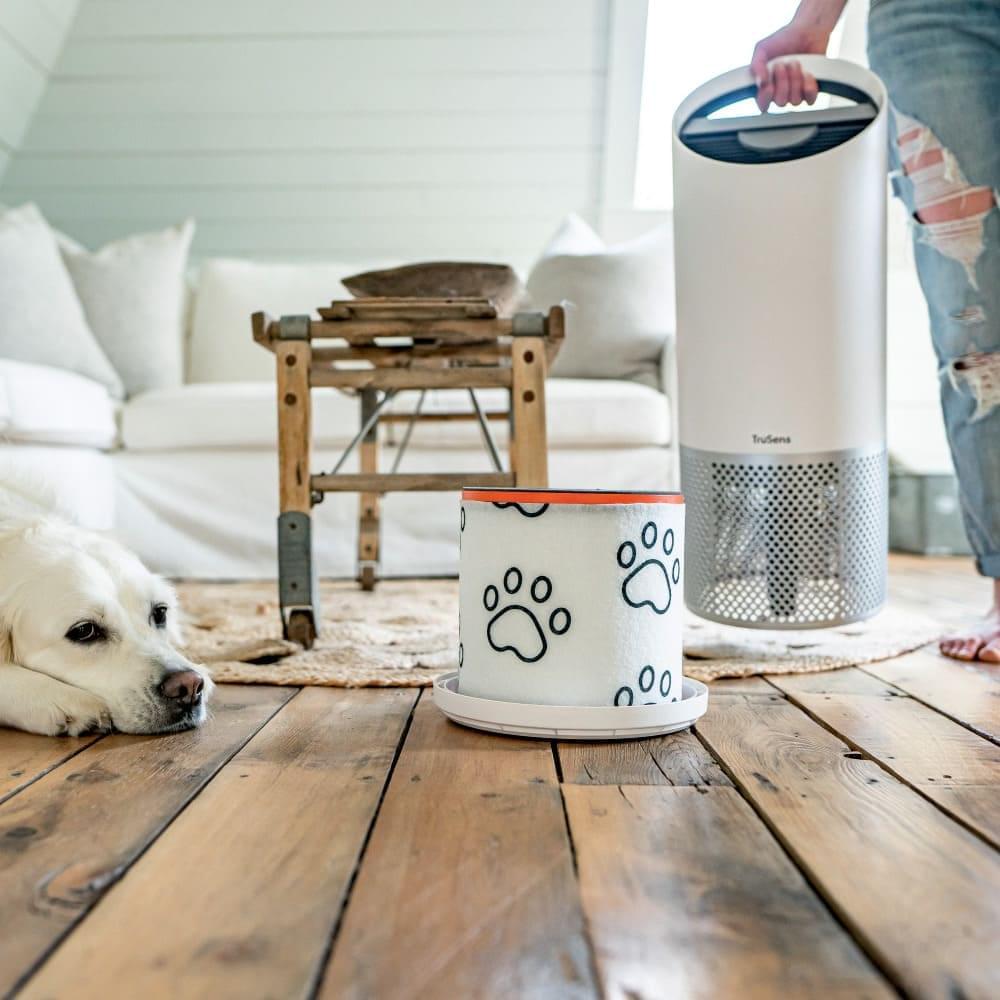 Filtro HEPA para alérgicos a gatos y perros para purificador Leitz TruSens Z-2000 - alergia-acaros.com | Soluciones naturales para la Alergia a los Ácaros del Polvo